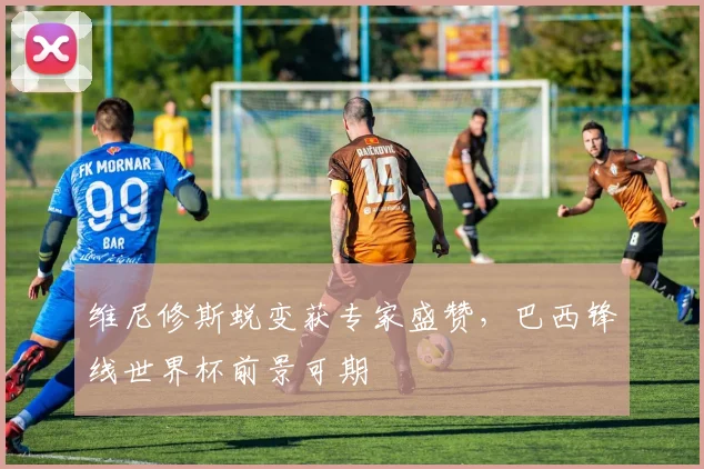 维尼修斯蜕变获专家盛赞，巴西锋线世界杯前景可期