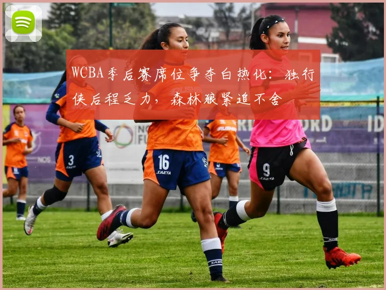 WCBA季后赛席位争夺白热化:独行侠后程乏力,森林狼紧追不舍