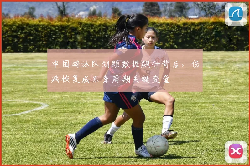 中国游泳队划频数据飙升背后,伤病恢复成东京周期关键变量